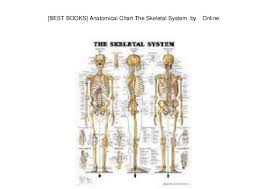 Best Books Anatomical Chart The Skeletal System By Online