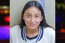 Daniela Rangel — Gwinnett County Jail Bookings