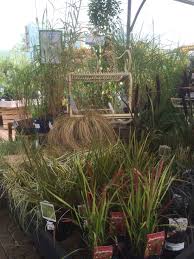 Matlock Garden Centre Blue Diamond Garden Centre Lifestyle Layout Landscape Visual Merchandising Www Clearret Garden Center Garden Things To Sell