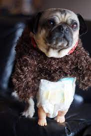 How To Make A Puppy Monkey Baby Dog Costume Based On Mountain Dew S Weird Super Bowl Ad Baby Dog Costume Happy Dogs Baby Dogs
