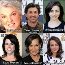 De herders naast elkaar.. wie lijkt het meest op Derek? : r/greysanatomy