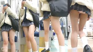 JKウォッチング66 冬の2日｜PALPIS（パルピス）