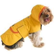 Boneheads Waterproof Raincoat For Dogs At Petco Dog Raincoat Dog Coats Pets