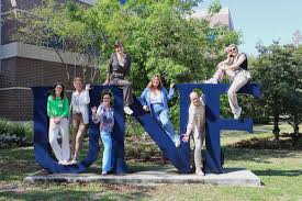 Image result for Nile Green 1952 Chrysler