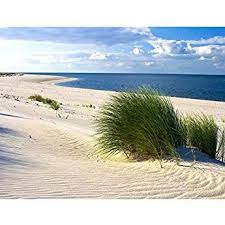 Fototapeten Strand Meer 352 X 250 Cm Vlies Wand Tapete Wohnzimmer Schlafzimmer Buro Flur Dekoration Wandbilder Xxl Moderne Wanddeko 100 Ma In 2019 Fototapete Tapeten Und Tapeten Wandbilder