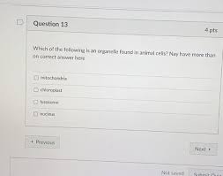 We did not find results for: Question 13 4 Pts Which Of The Following Is An Chegg Com