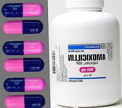 Kopek Kulak Enfeksiyonlarinda Antibiyotik Turleri 2020