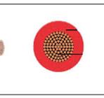 Shop Anticapillary Wires - Balaji Wires
