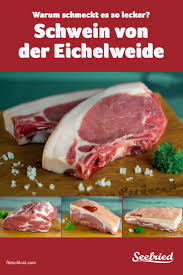 Eichelweideschwein Herkunft Haltung Futter Co Fleischlust Com Schwein Eichel Schmecken
