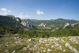 Croaticus), riba oštrulja (aulopyge hugeli), dugonogi šišmiš (myotis capaccinii) i vuk (canis lupus) samo su neke od najpoznatijih endemskih i rijetkih vrsta parka. Np Sjeverni Velebit Podrucje Pod Posebnom Zastitom
