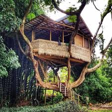 tiny homes on airbnb in puerto rico