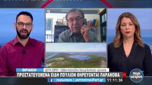 We did not find results for: E Karalhs Espasa To Rekor Toy Mpampa Moy Kai Eipa Teleiwse H Istoria Soy 17 07 2021 Ert Eklogika Webtv