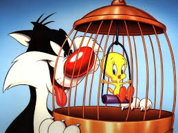 Humour Titi Et Gros Minet Personnages Looney Tunes Vieux Dessins Animes