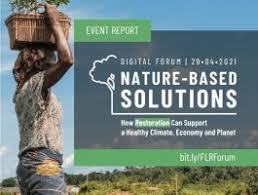 อุปกรณ์การแพทย์, เครื่องมือแพทย์, เครื่องมือแพทย์ทุกชนิด, ถุงมือ, ถุงมือตรวจโรค, ถุงมือยาง, ถุงมือทางการแพทย์, เจล, เจลแอลกอฮอล์, . Nature Based Solutions How Restoration Can Support A Healthy Climate Economy And Planet Global Landscapes Forum