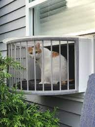 Check spelling or type a new query. Cat Solarium The Veranda Package The Ultimate Cat Window Box In 2021 Cat Window Cat Patio Cat Perch