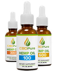 The 10 Best CBD Oils in 2019