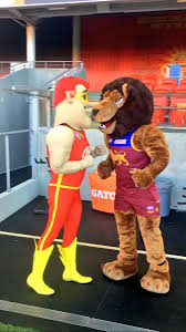 The brisbane lions is a professional australian rules football club based in brisbane, queensland the lion's mascot manor representative and club mascot was bernie gabba vegas until 2016. Roy The Lion On Twitter It S On Like Donkey Kong Bringit Aflsunslions Multiculturalround