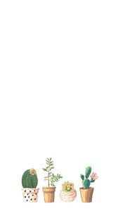 Potted Cactus Art Succulent Illustration Succulent Print Etsy Succulents Wallpaper Floral Wallpaper Wallpaper Space