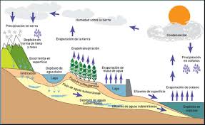 El agua de tu vaso puede haber caído del cielo en forma de lluvia apenas la semana pasada, pero esa agua circula, circula, circula (bueno, ya entendiste la idea) en lo que llamamos el ciclo del agua. La Bitacora Verde Ciclo Hidrologico Del Agua