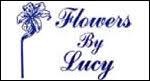 456 franklin street, havre de grace, md. Flowers By Lucy Posts Facebook