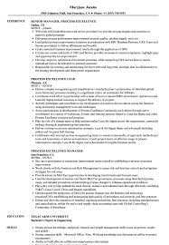 Process Excellence Resume Samples Velvet Jobs