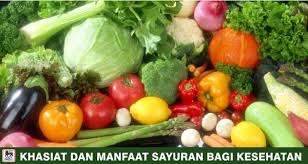 Seperti yang disebut di atas, daftar ini tidak menunjukkan pemeringkatan dan juga bukan daftar keseluruhan. Khasiat Dan Manfaat Sayuran Bagi Kesehatan Super Indo Lebih Segar Lebih Hemat Lebih Dekat