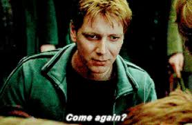 20 Facts about Fred & George