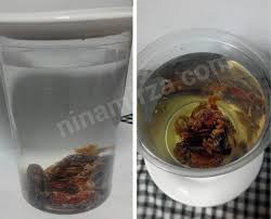 Ditilik dari sisi medis, berikut khasiat air rendaman kurma tak bisa dianggap sepele seperti dhimpun oleh. Apa Itu Air Nabeez Apa Khasiat Nya