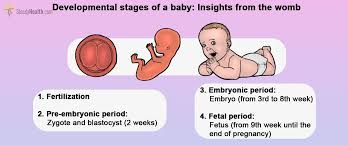 Pin On Reproductive Technoscience