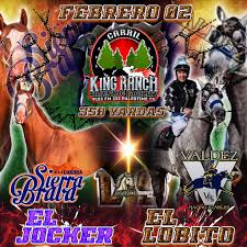 Carreras De Arkansas