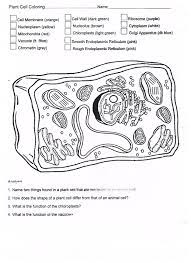 We did not find results for: Biology Colouring Worksheets Google Search Animal Cells Worksheet Cells Worksheet Plant And Animal Cells