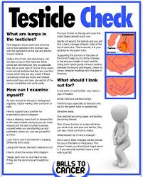 Testicular cancer can also cause other symptoms, including: Can You Get Cancer On Your Balls