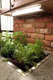 11 Kitchen Countertop Herb Garden Ideas For Apartment Living Herb Garden In Kitchen Diy Kitchen Projects Diy Kitchen Decor