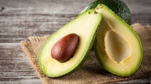 Kann mir jemand sagen, wann ich den stamm kappen muß (ich glaube dazu sagt man veredeln?)damit der stamm dicker wird und wann so ein baum eine frucht zum tagen beginnt. Avocado Pflanzen Die Besten Tipps Brigitte De