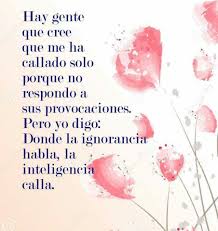 Yo Solo Observo Citas De Inspiracion Diaria Frases De La Vida Real Mejor Callar