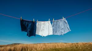 Wer jetzt an unterwäsche denkt, liegt voll daneben. Boxershorts Test Die Beste Herren Unterwasche Im Markt Check Chip