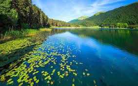 Image result for ‫بحيرة أبانت :‬‎