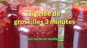 Recette de dessert, flans et tartes pour 8 personnes. La Gelee De Groseilles 3 Minutes Une Recette Facile Et Rapide Youtube