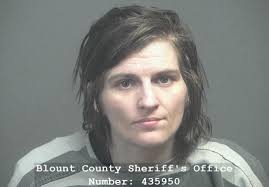 Blount arrest records and charges