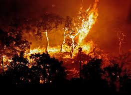 Check spelling or type a new query. Ha 70 Concelhos Em Risco Maximo De Incendio Mundo Portugues