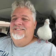 Is it normal for a ringneck to molt twice in a short period during hot  weather?