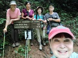 Hiking to Walker Sisters Cabin in Smoky Mountains