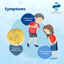 Image result for Isolated Proteinuria