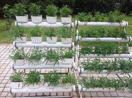 Learn how to make hydroponic system at home ,easy to build and perfect for beginners, an homemade hydroponic system set. China Pvc Pipe For Hydroponic Grow System For Greenhouse China Hydroponic System And Greenhouse Price