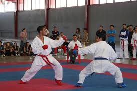 Los deportes individuales son aquellos que son practicables por una sola persona que realiza acciones motrices en un espacio medible por un lapso de tiempo determinado. Asegura Lugares Udeg Para Universiada Nacional En Deportes Individuales Universidad De Guadalajara