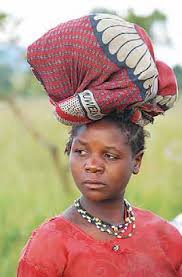 Image result for Disa ochrostachya