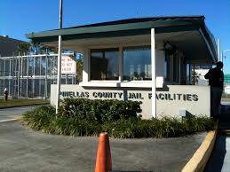 Richard Miller Psychiatrist Blamed By Pinellas County Sheriff In Death Of Inmate Psychsearch