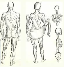 How to draw hands, step by step, drawing guide, by neekonoir. How To Draw The Human Figure Drawing Body Head Facial Features How To Draw Step By Step Drawing Tutorials