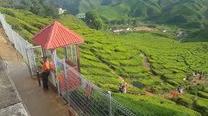 Check spelling or type a new query. Mrkumai Blogspot Com Caj Masuk Ke Ladang Teh Bharat Di Tea Shop 2