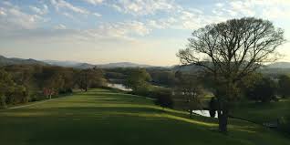 Image result for Tree Green 2018 Fleet